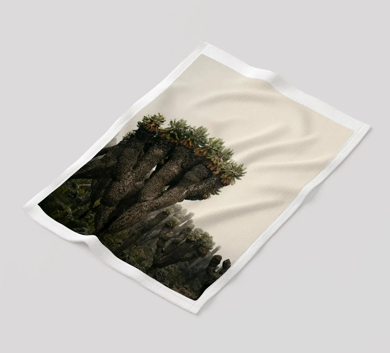 alieno arido coperta in pile da Earthly Visions