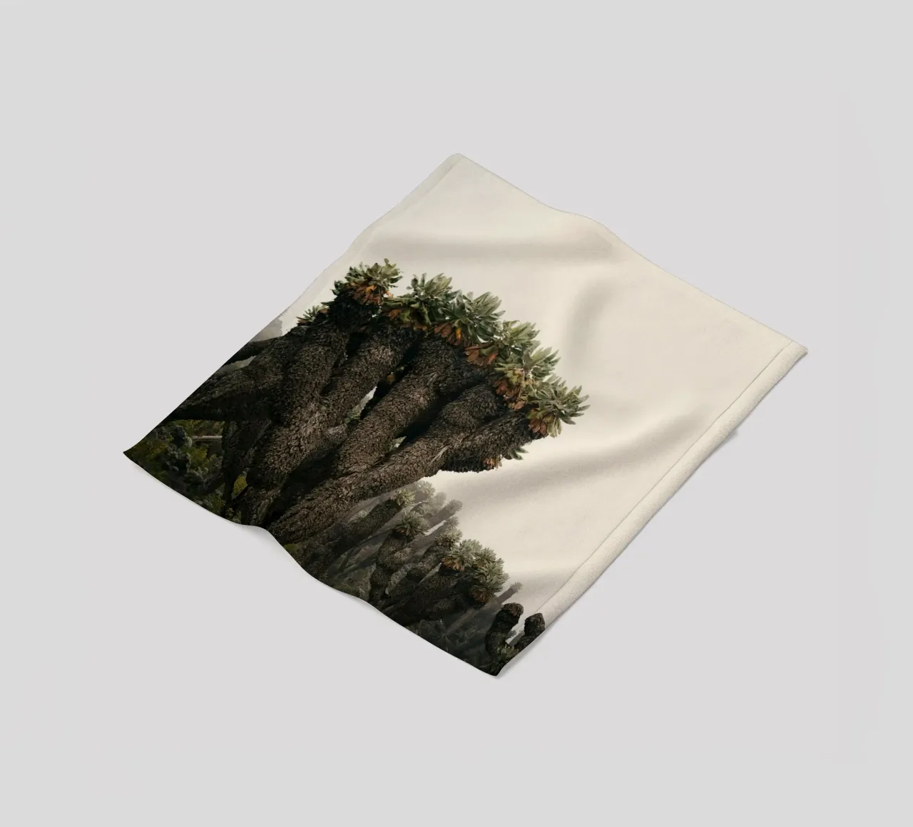alieno arido coperta in pile da Earthly Visions