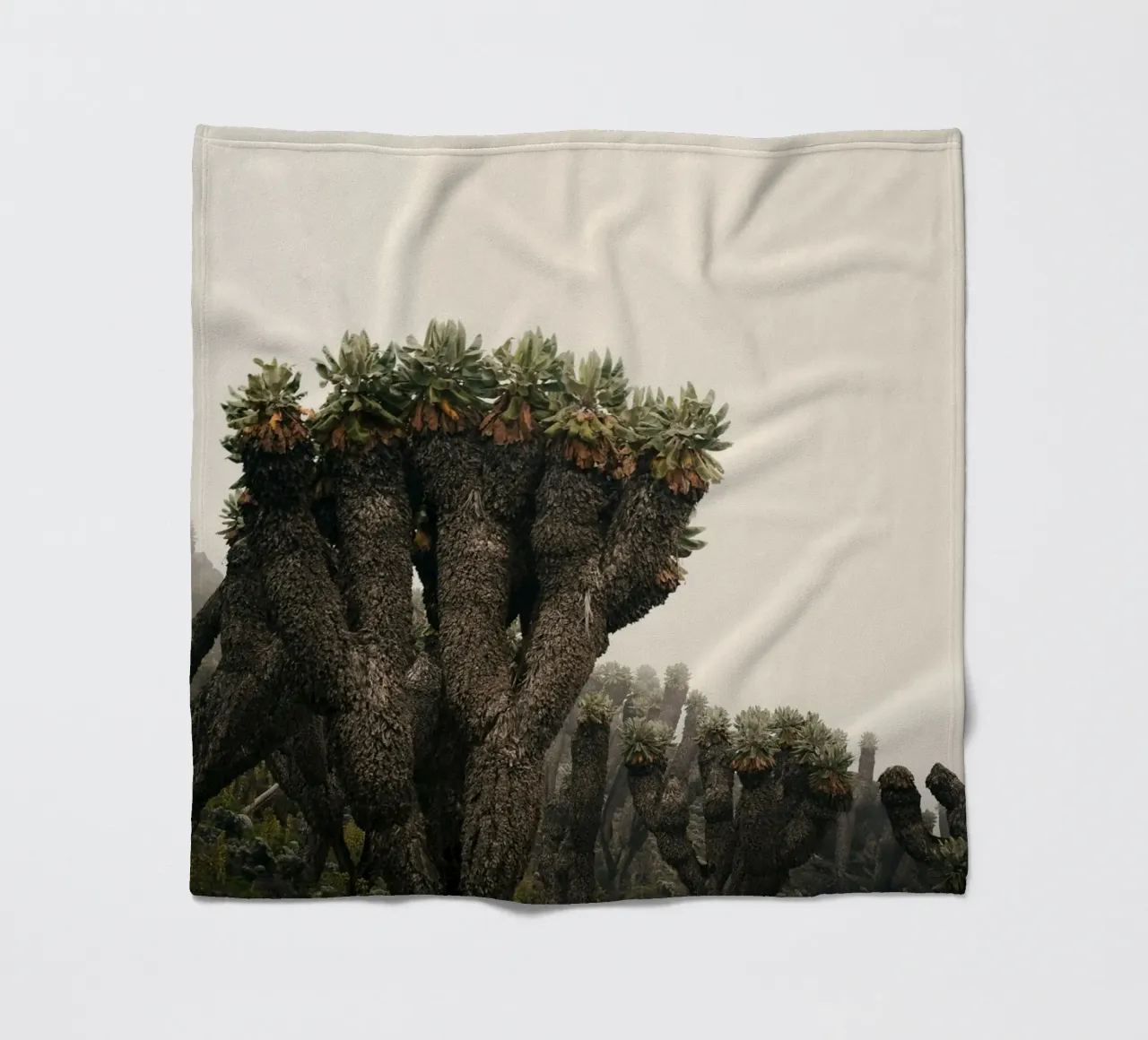 alieno arido coperta in pile da Earthly Visions