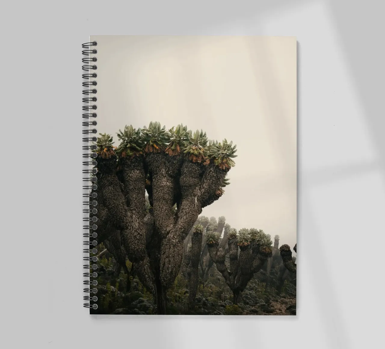 alien-like arid spiral notebook by Earthly Visions