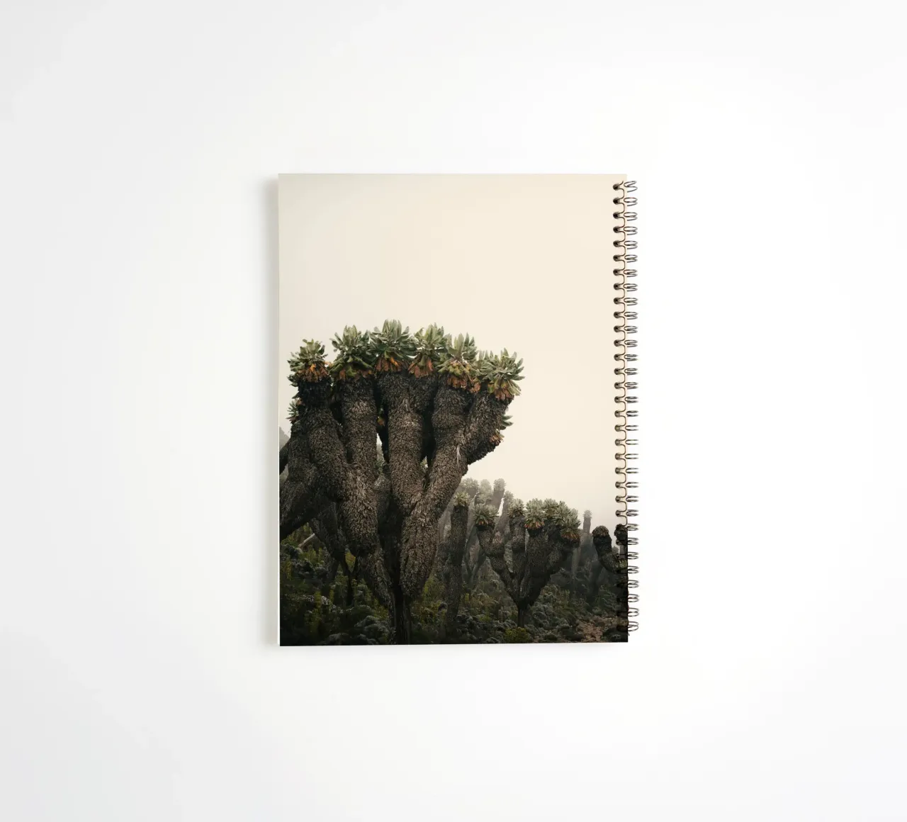 alien-like arid spiral notebook by Earthly Visions