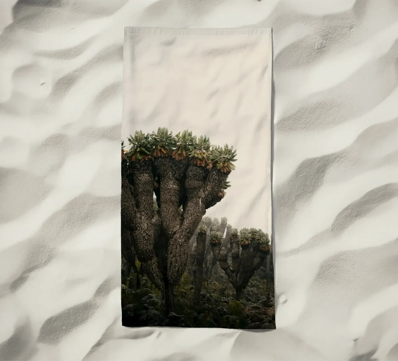 alieno arido telo mare da Earthly Visions
