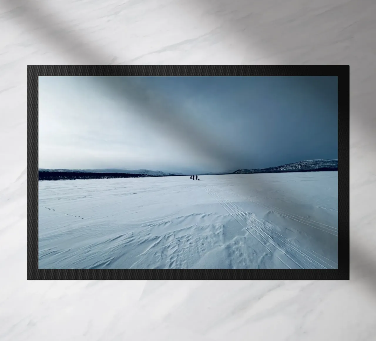 Arctic zerbino da Löwenzahntiger