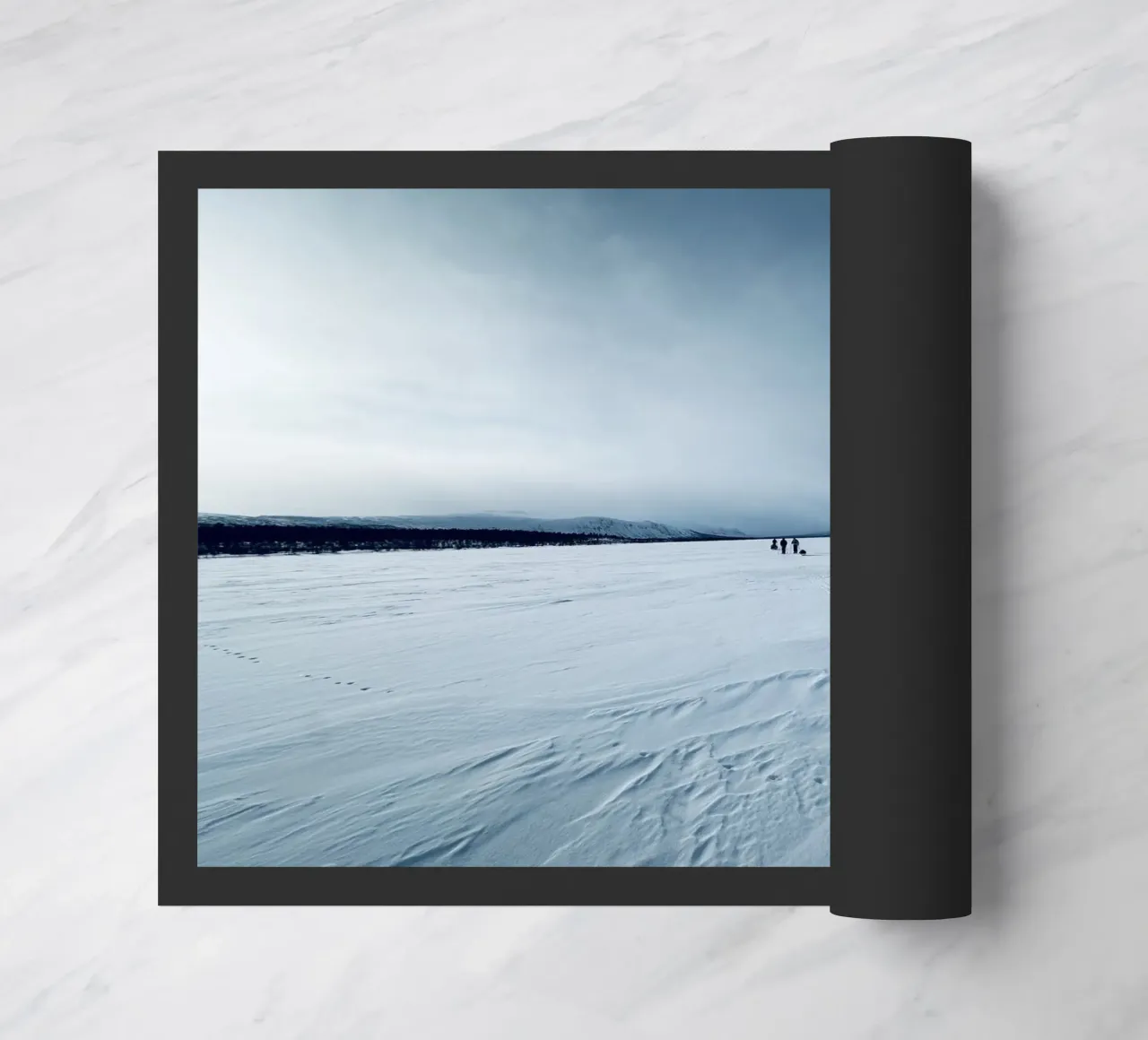 Arctic zerbino da Löwenzahntiger