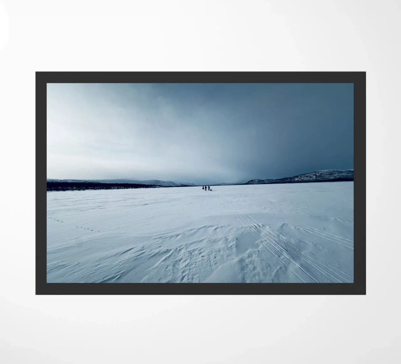 Arctic zerbino da Löwenzahntiger