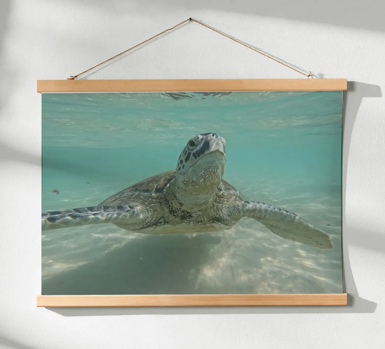 Tartaruga marina sott'acqua a Turtle Beach, Sri Lanka poster con telaio in legno da Roamance Studio