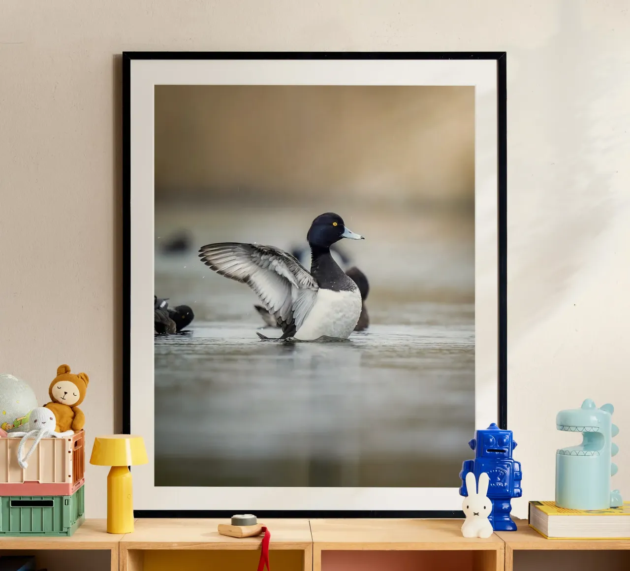 Reiherente in Amsterdam Poster mit Kunststoffrahmen von Tom's Wildlife