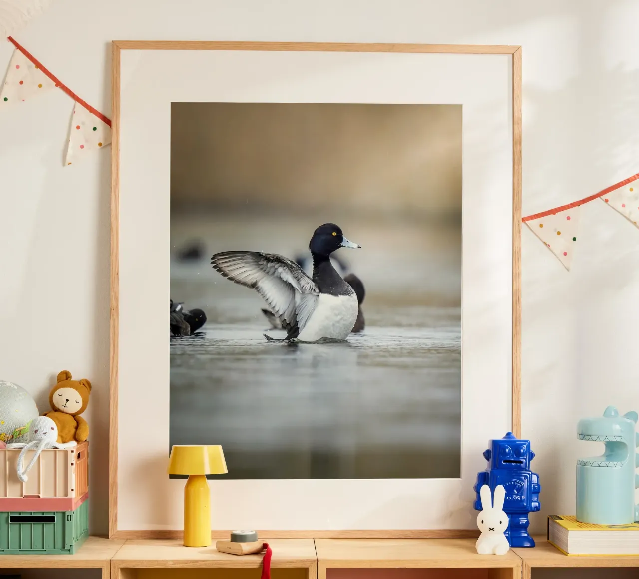 Reiherente in Amsterdam Poster mit Kunststoffrahmen von Tom's Wildlife