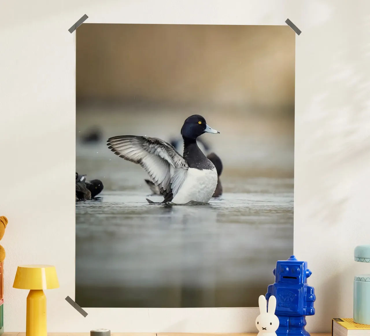 Reiherente in Amsterdam Poster mit Kunststoffrahmen von Tom's Wildlife