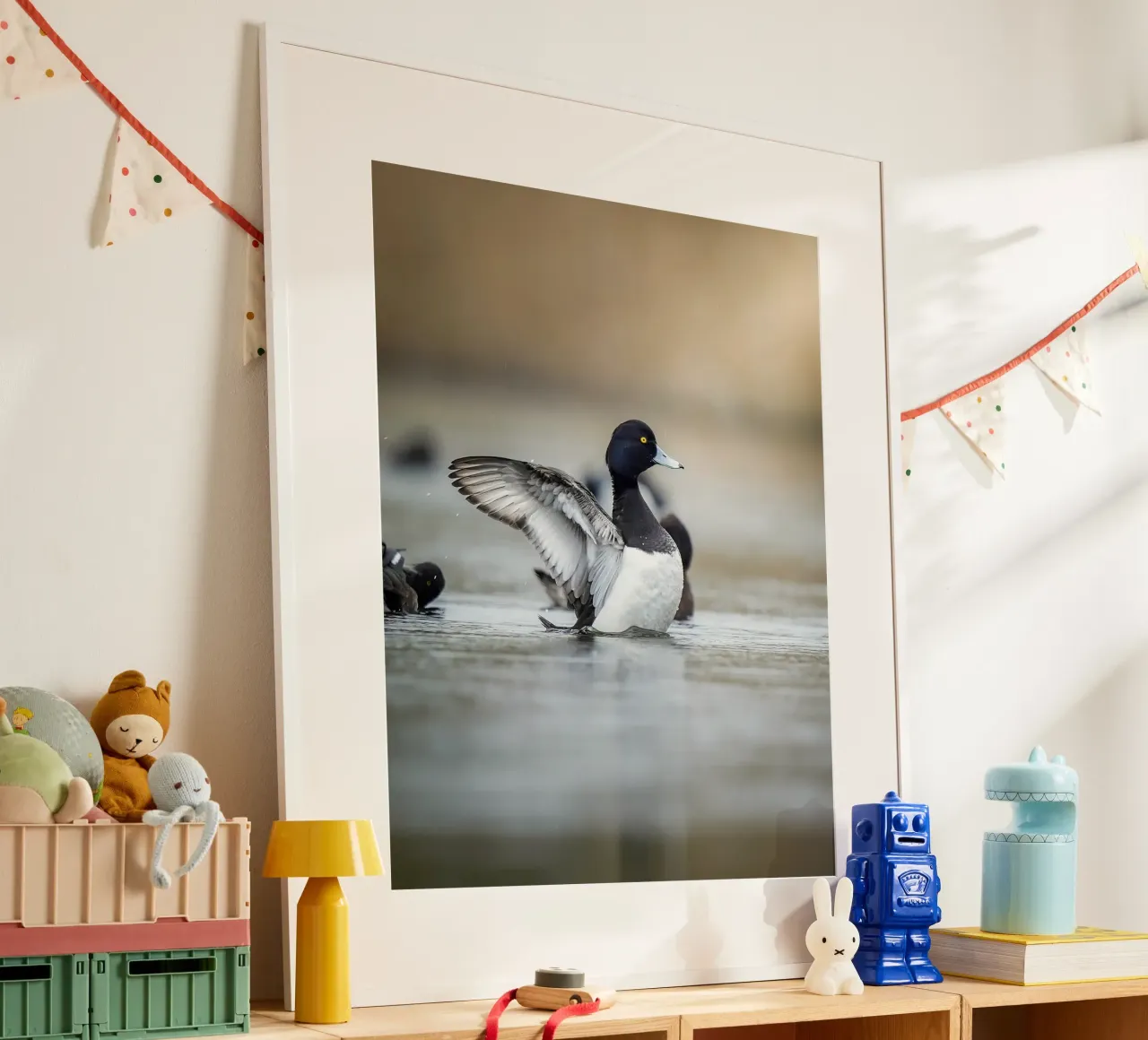 Reiherente in Amsterdam Poster mit Kunststoffrahmen von Tom's Wildlife