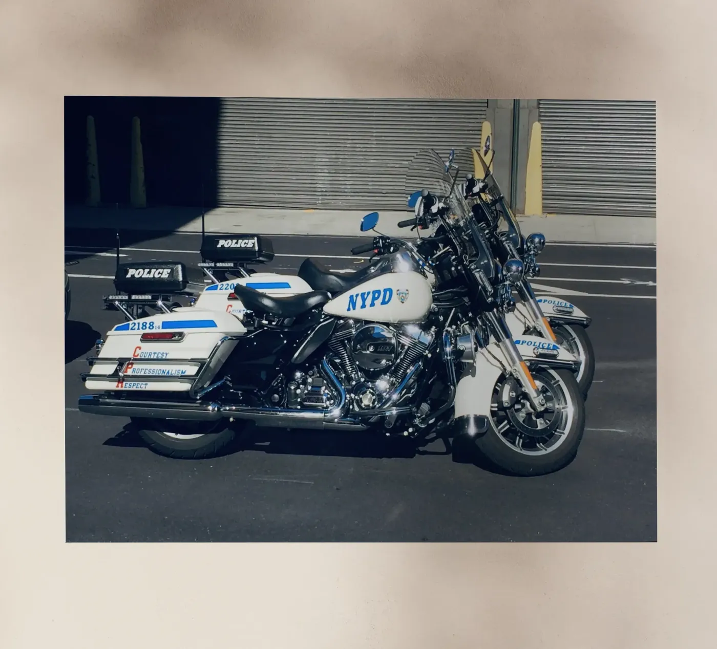 NYPD pellicola backlit da Löwenzahntiger