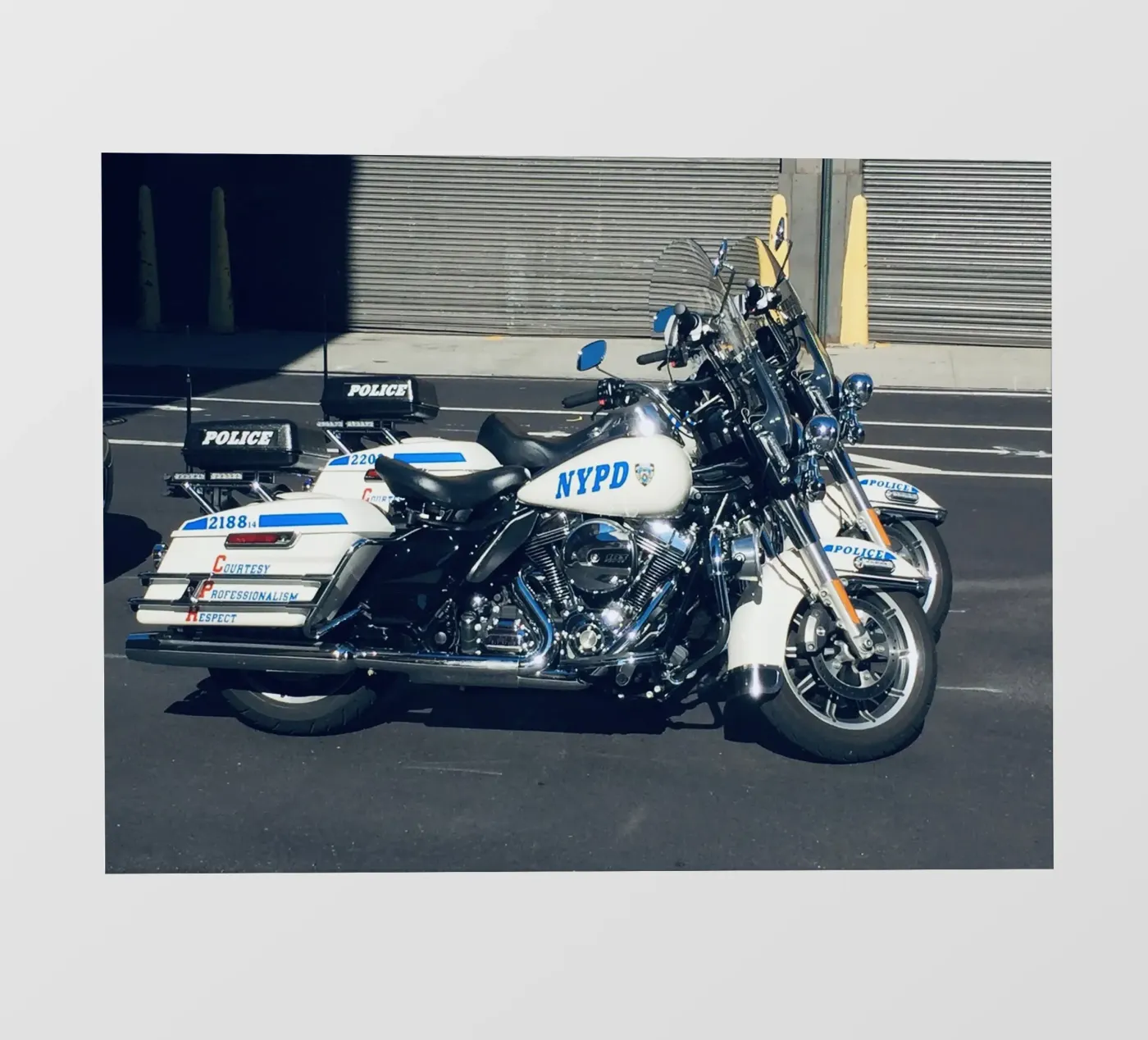 NYPD pellicola backlit da Löwenzahntiger