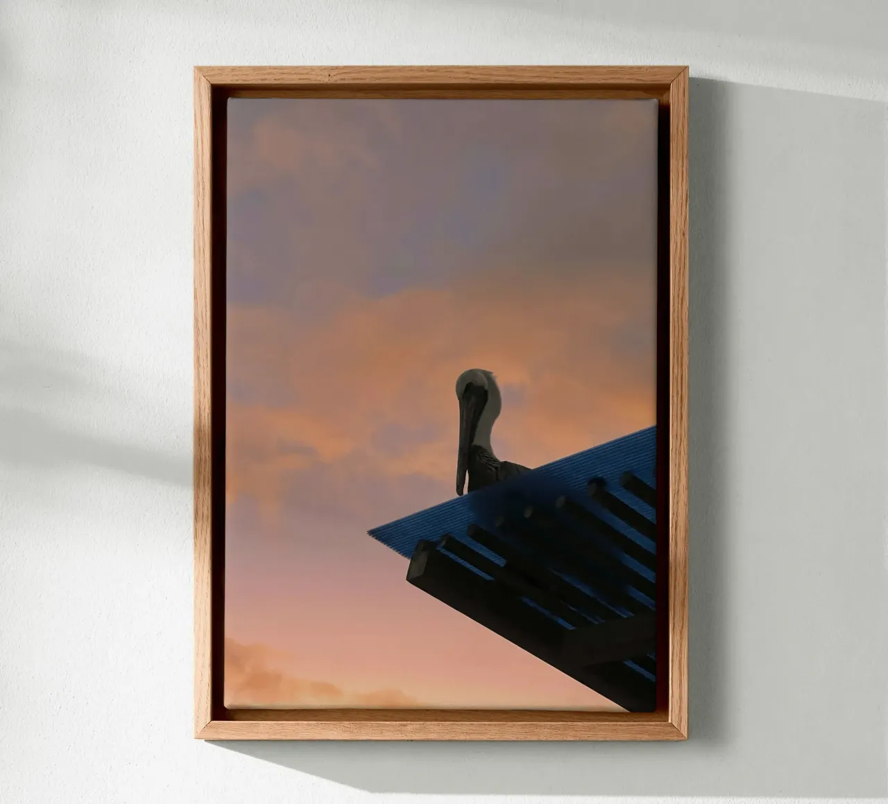 Scherenschnitt & Pinksky - Pelikan, Galapagos-Inseln Leinwand mit Schattenfugenrahmen von Roamance Studio