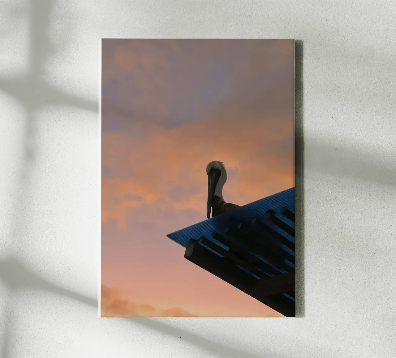 Scherenschnitt & Pinksky - Pelikan, Galapagos-Inseln Leinwand mit Schattenfugenrahmen von Roamance Studio