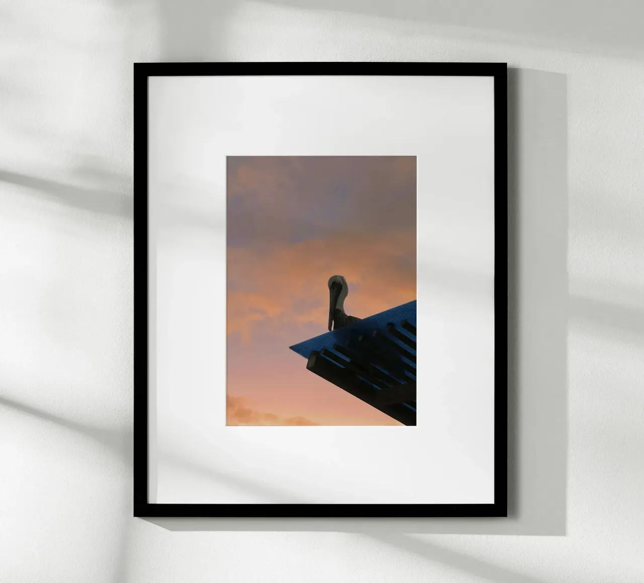 Silhouette & Pinksky - Pelikan, Isole Galapagos poster con telaio in legno da Roamance Studio