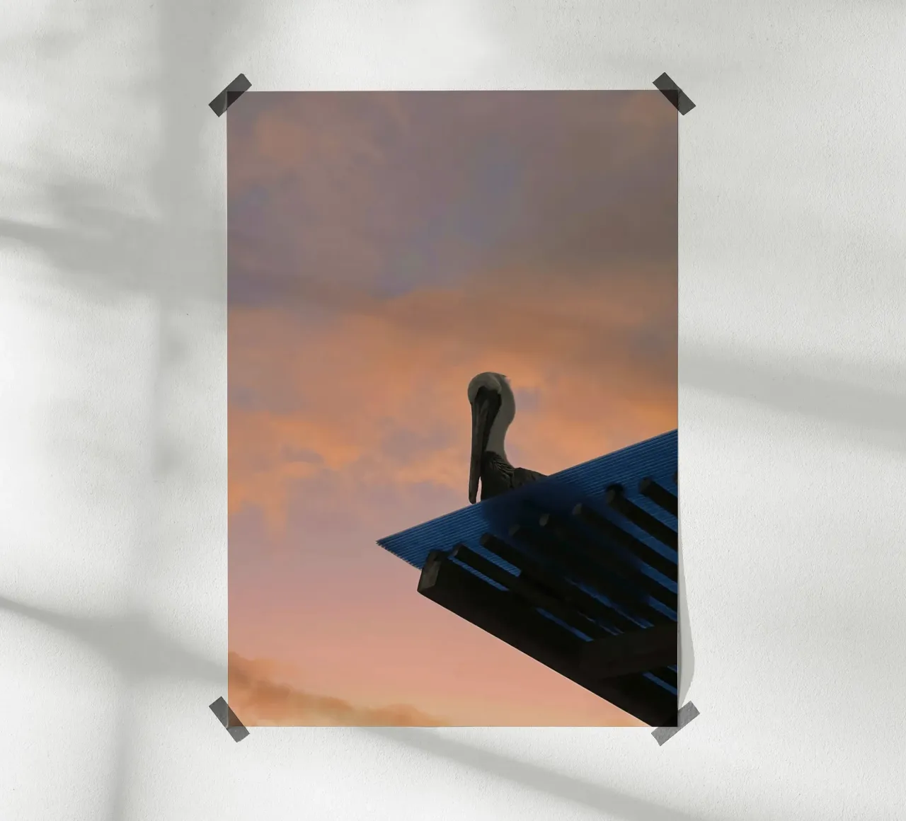 Silhouette & Pinksky - Pelikan, Isole Galapagos poster con telaio in legno da Roamance Studio