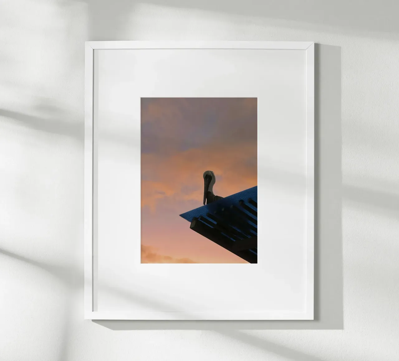 Silhouette & Pinksky - Pelikan, Isole Galapagos poster con telaio in legno da Roamance Studio