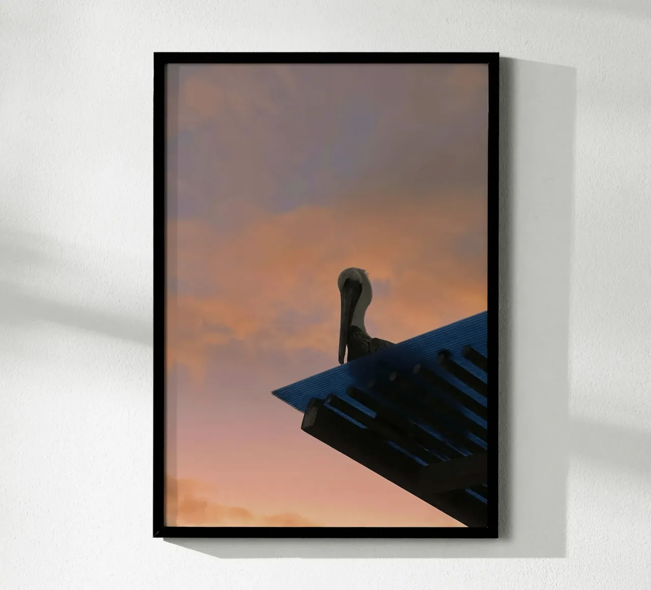 Silhouette & Pinksky - Pelikan, Isole Galapagos poster con telaio in legno da Roamance Studio