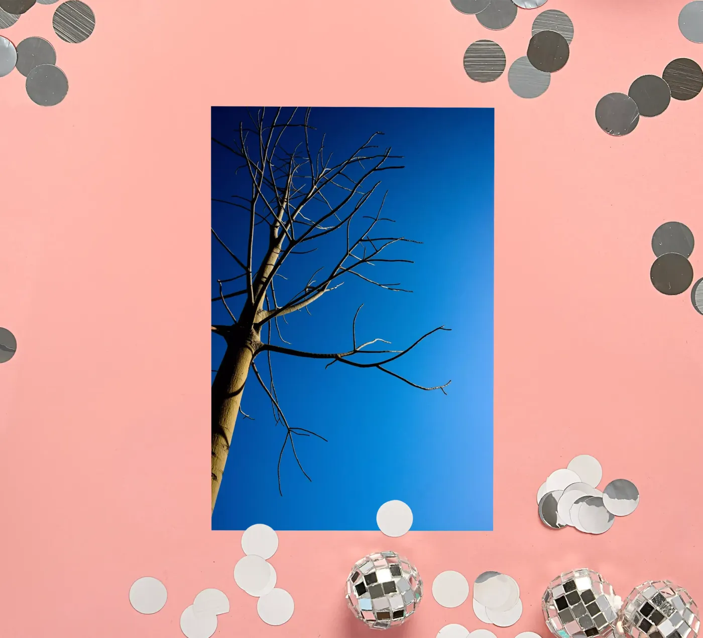 Bare Tree sticker by Tal Paz-Fridman