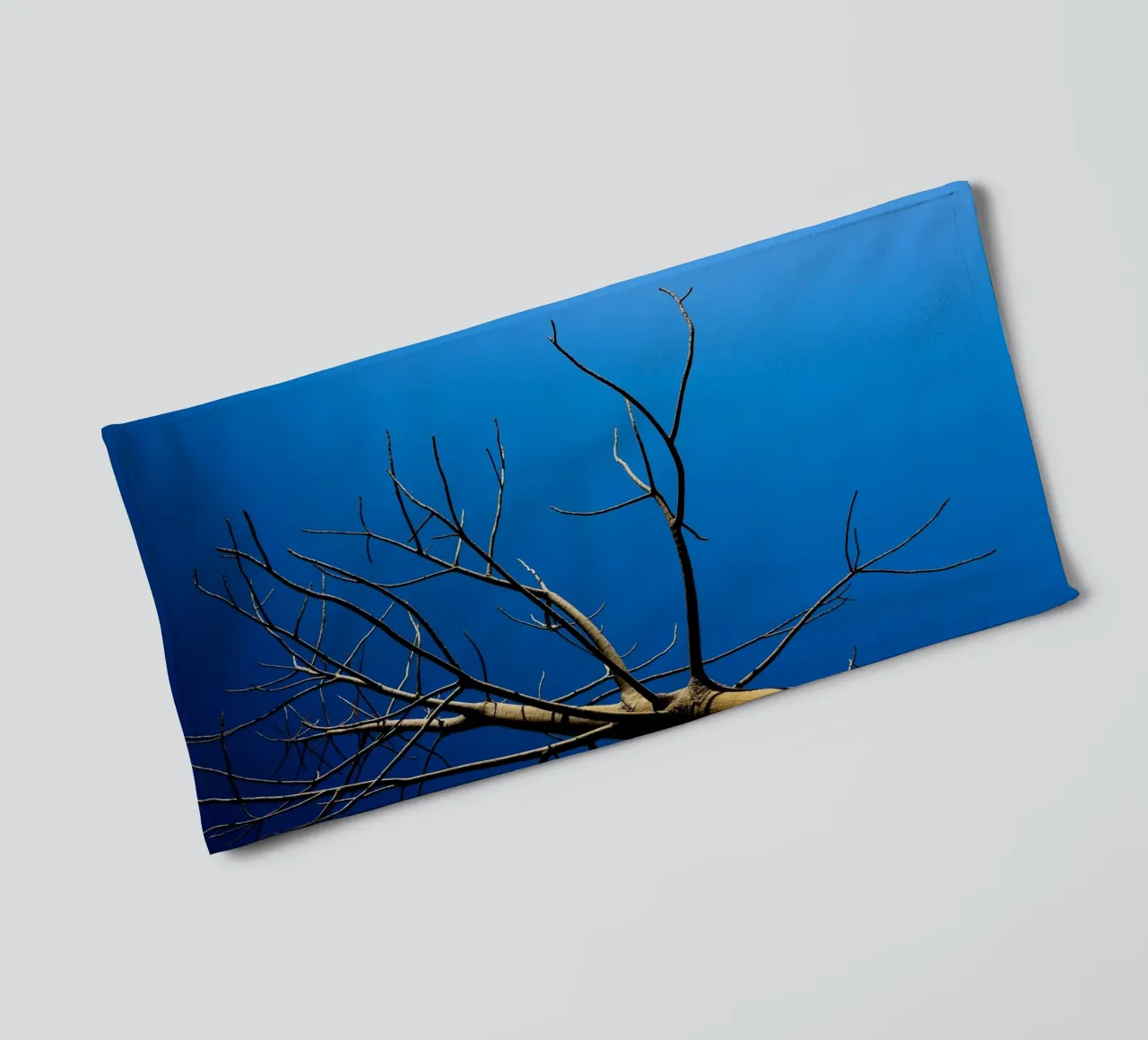 Bare Tree towel by Tal Paz-Fridman