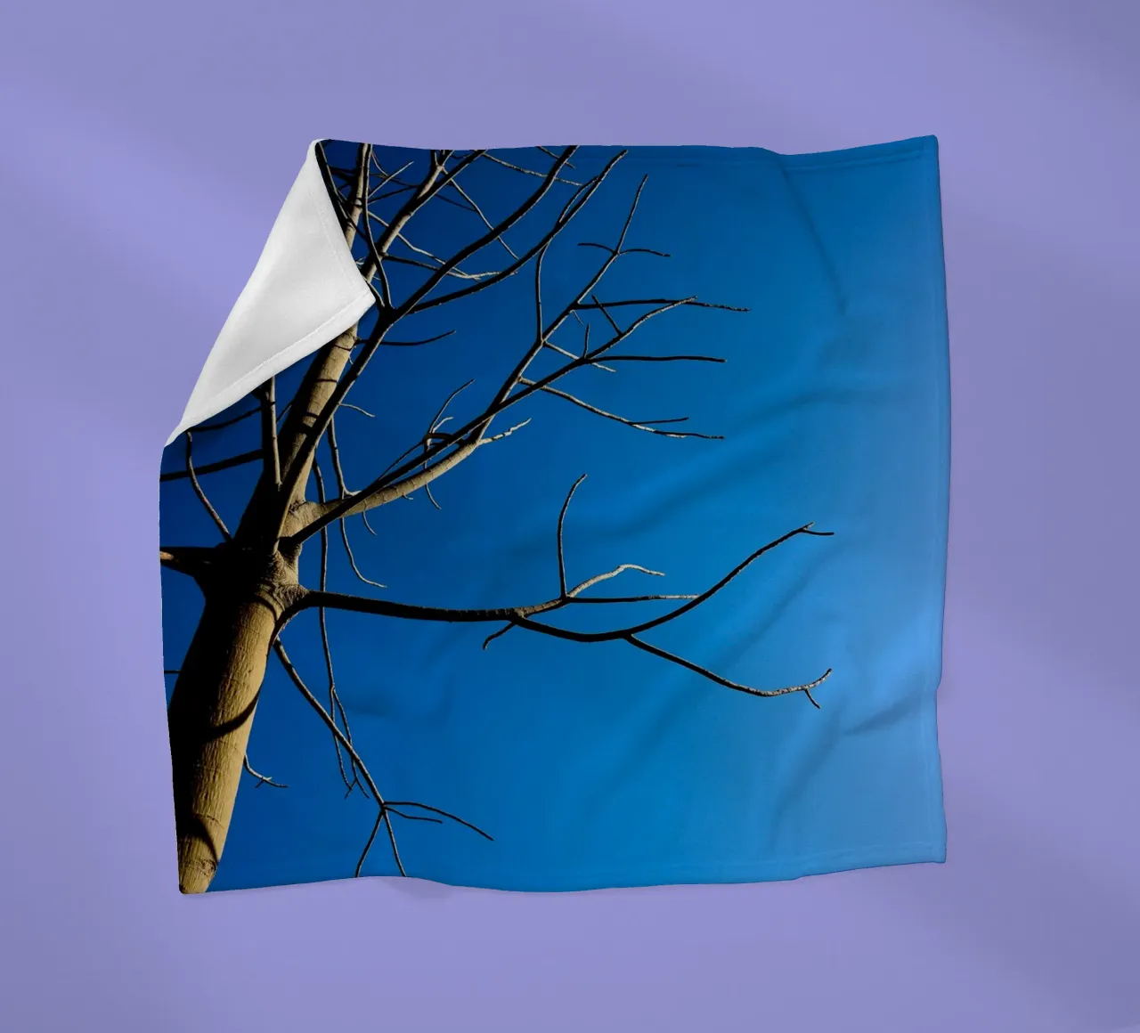 Bare Tree Fleecedecke von Tal Paz-Fridman