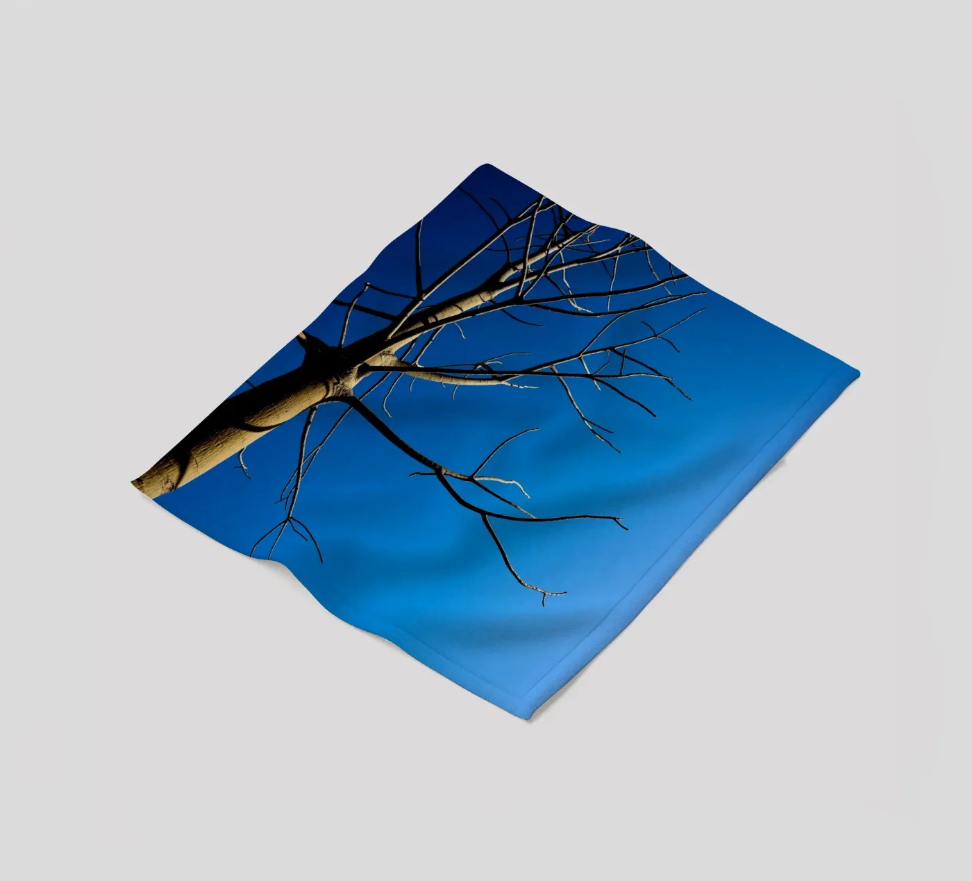 Bare Tree fleece blanket by Tal Paz-Fridman