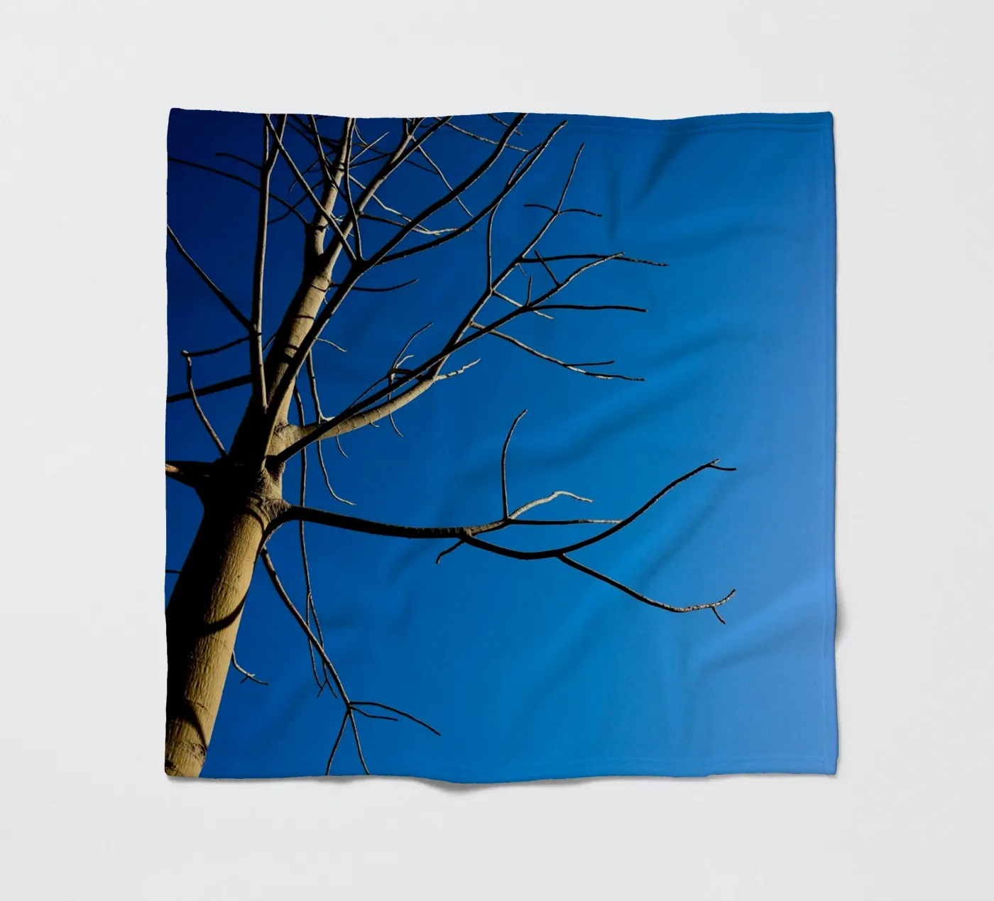 Bare Tree fleece blanket by Tal Paz-Fridman