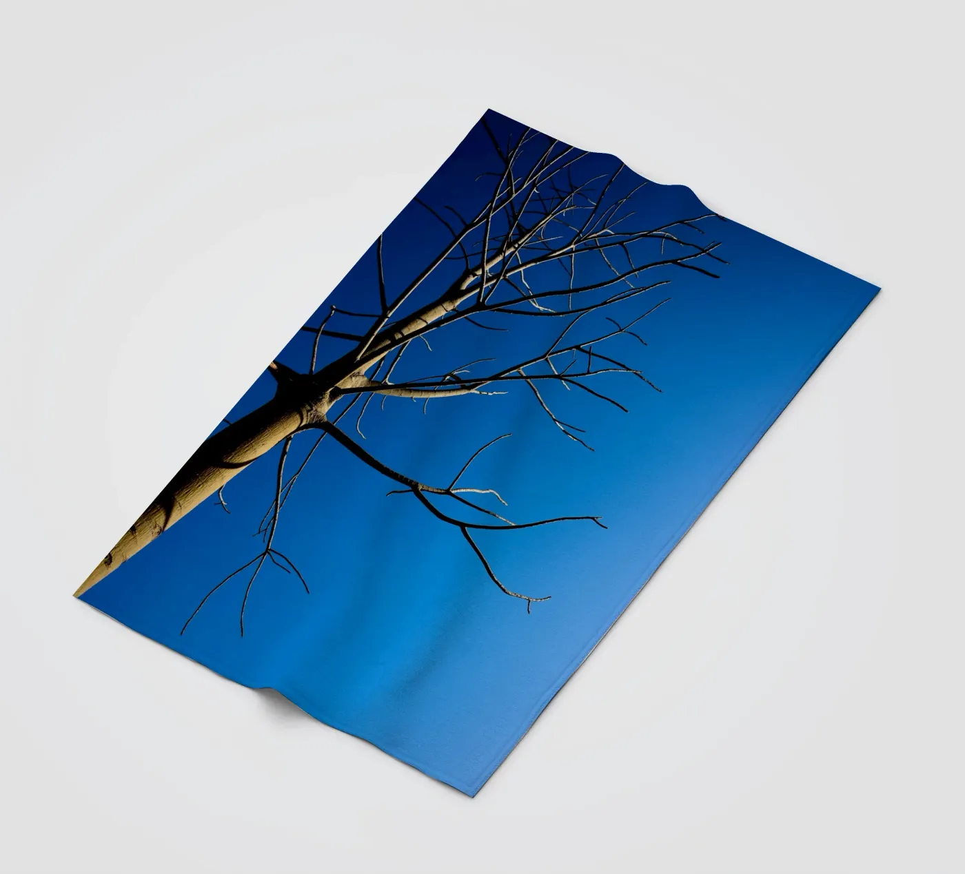Bare Tree fleece blanket by Tal Paz-Fridman