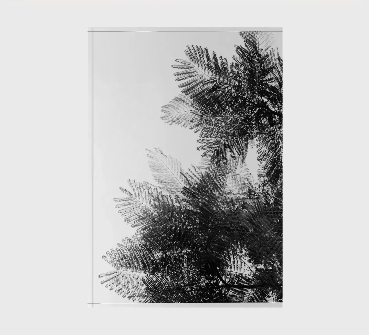The Tree Top I notebook by Tal Paz-Fridman