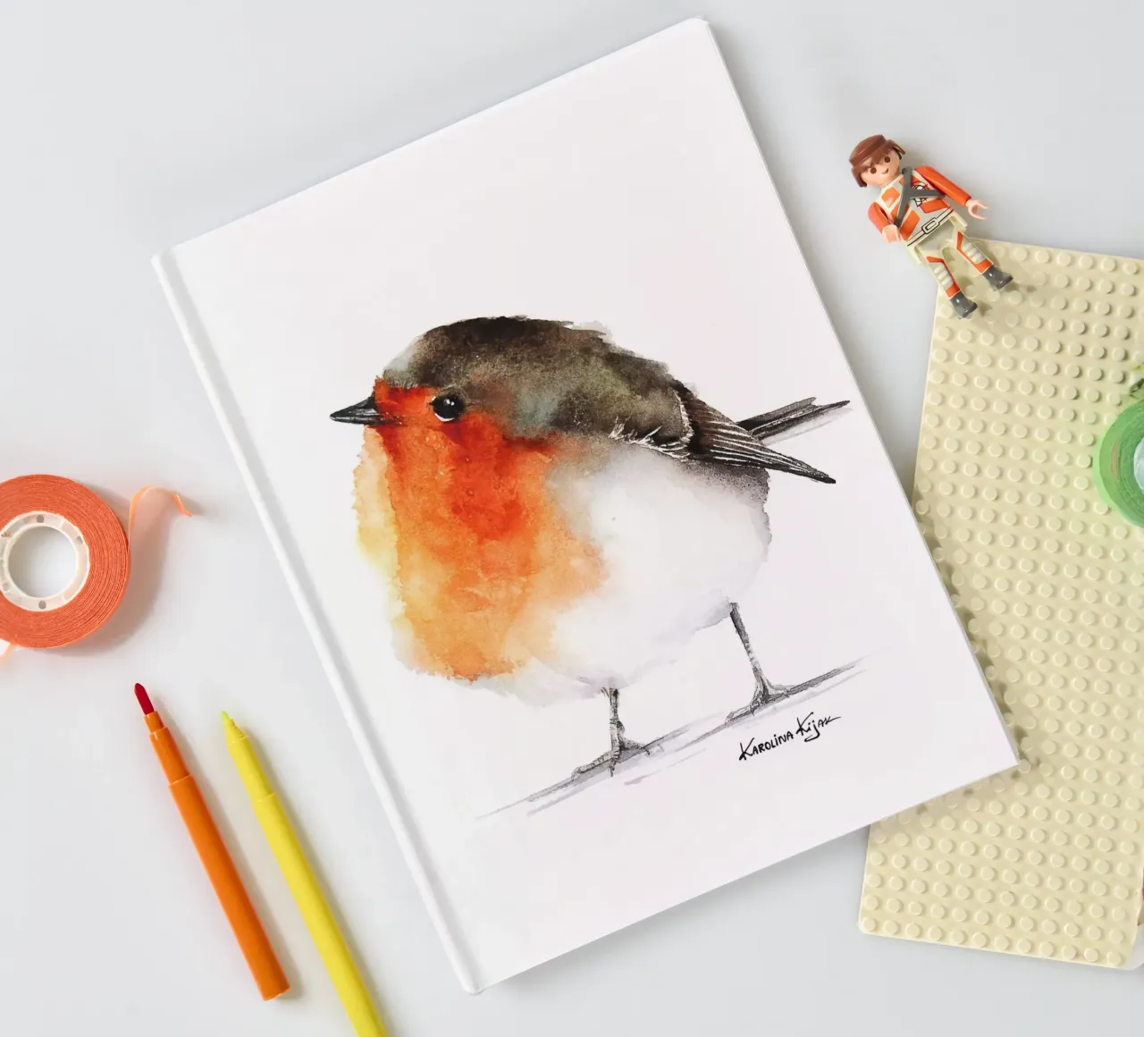 Robin bird diario da Karolina Kijak