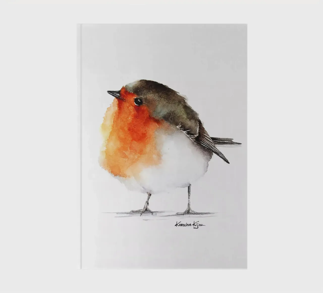 Robin bird diario da Karolina Kijak