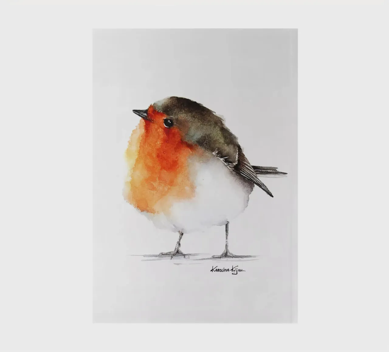 Robin bird diario da Karolina Kijak