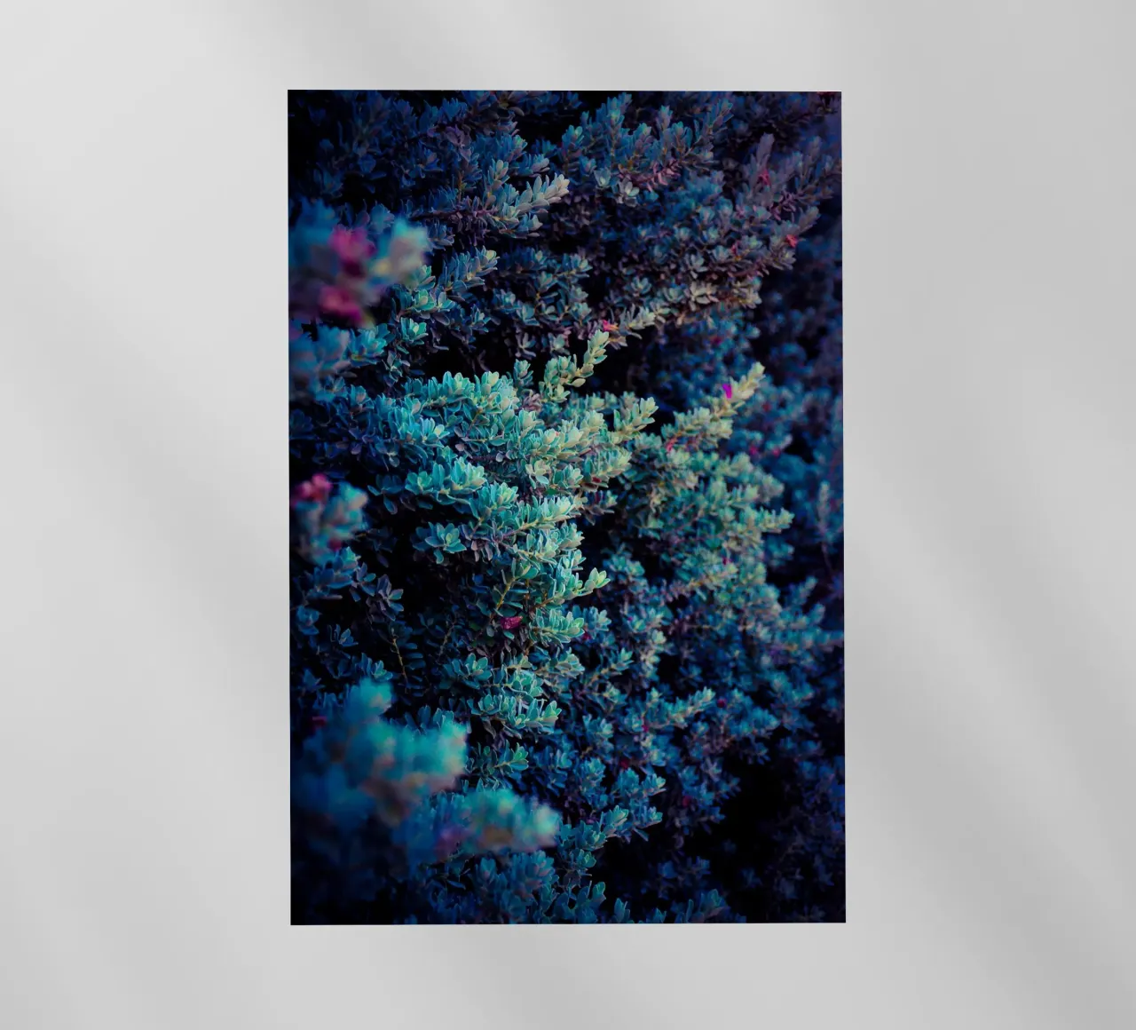 Spring pellicola backlit da Tal Paz-Fridman