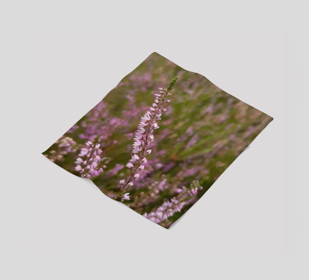 Fiori di erica rosa e viola coperta in pile da byrieneke