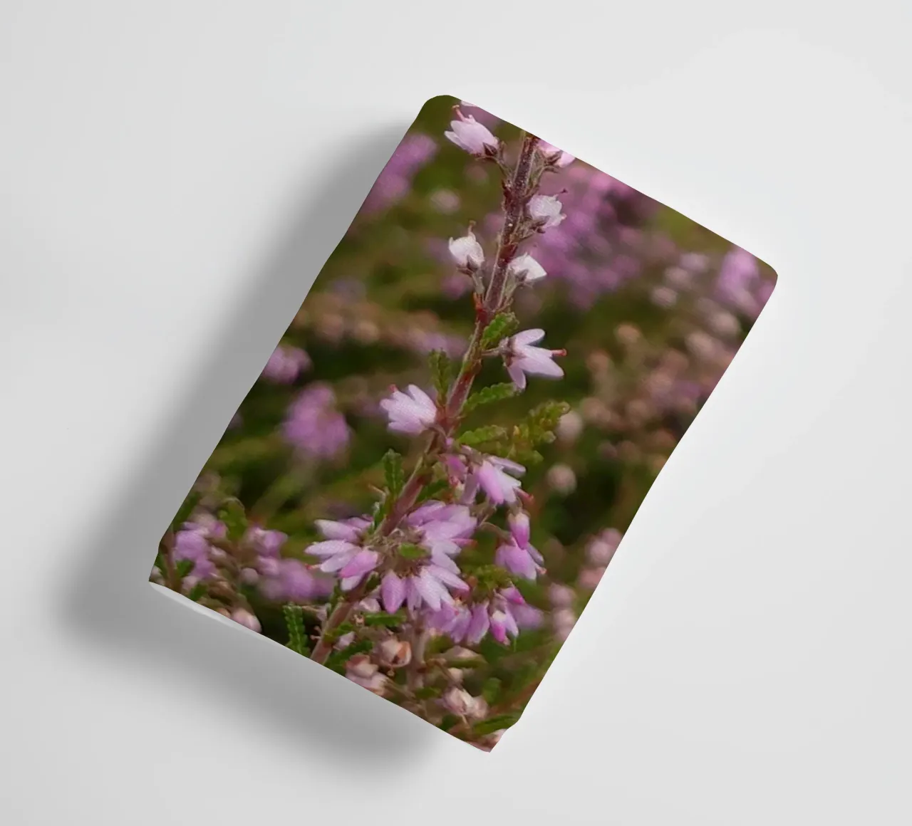 Fiori di erica rosa e viola asciugamano da bagno da byrieneke