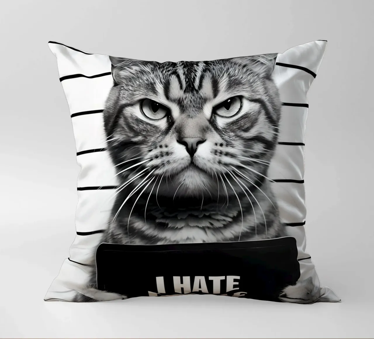 Grumpy Cat Mugshot "I Hate People" decorative cushion by 🥝 KIWI STORE