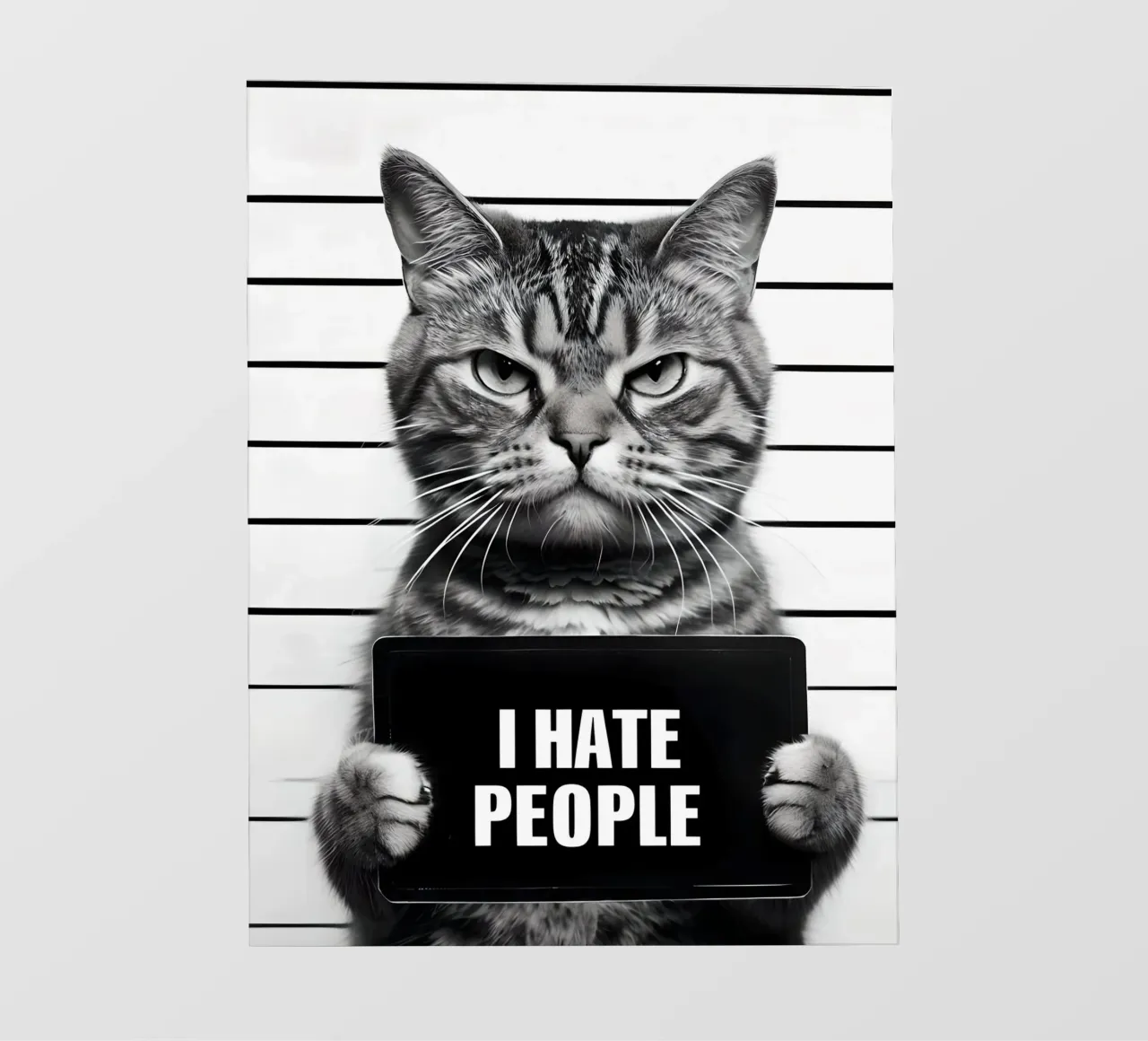 Mugshot de Grumpy Cat "Odio a la gente" papel para pared de 🥝 KIWI STORE
