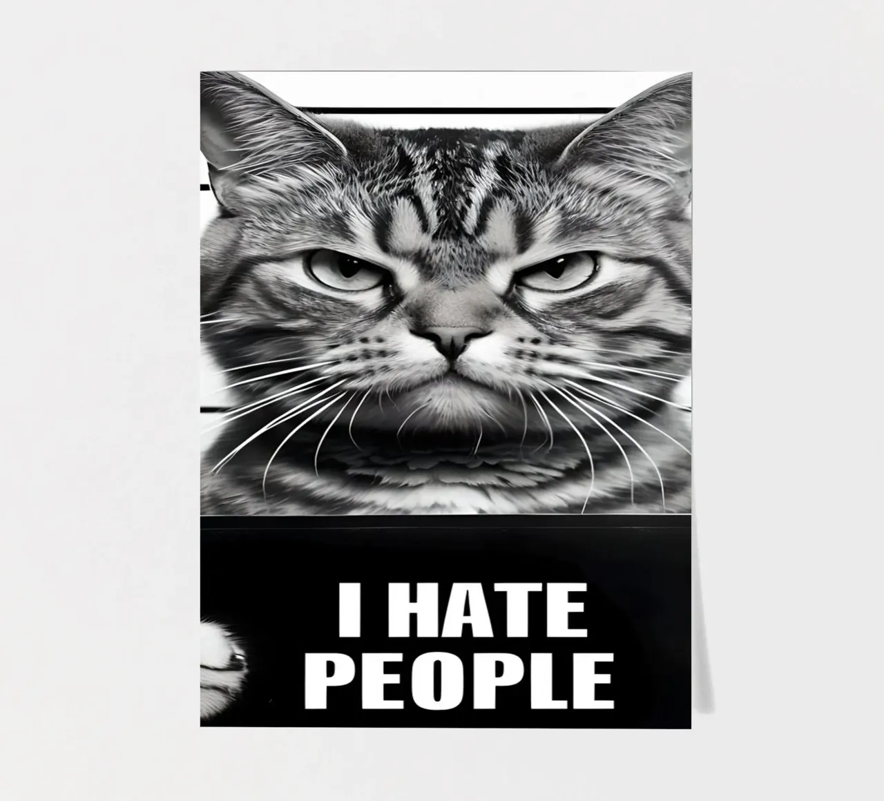 Grumpy Cat Mugshot "Ich hasse Menschen" Stickerbogen von 🥝 KIWI STORE