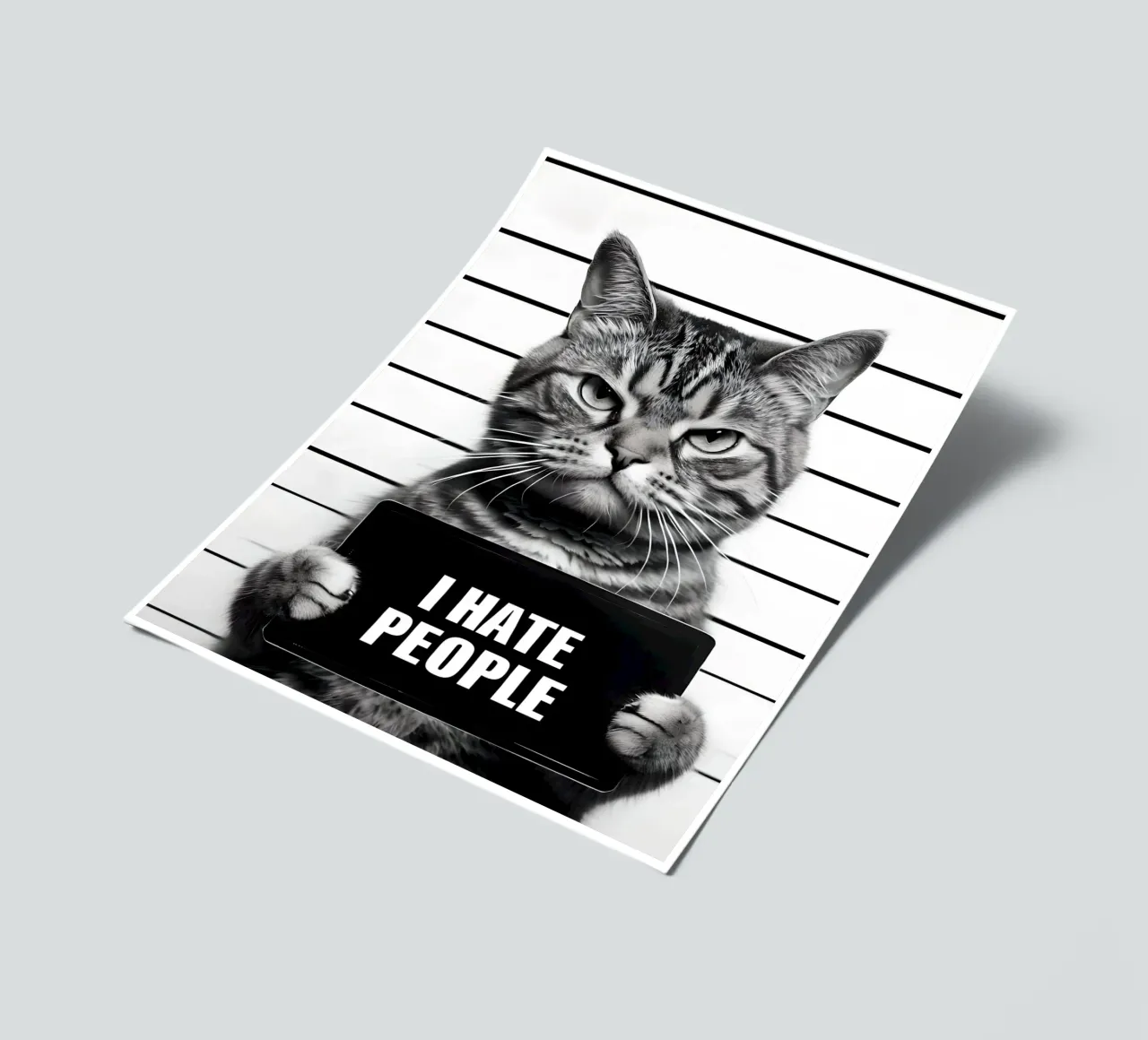 Grumpy Cat Mugshot "Ich hasse Menschen" Stickerbogen von 🥝 KIWI STORE