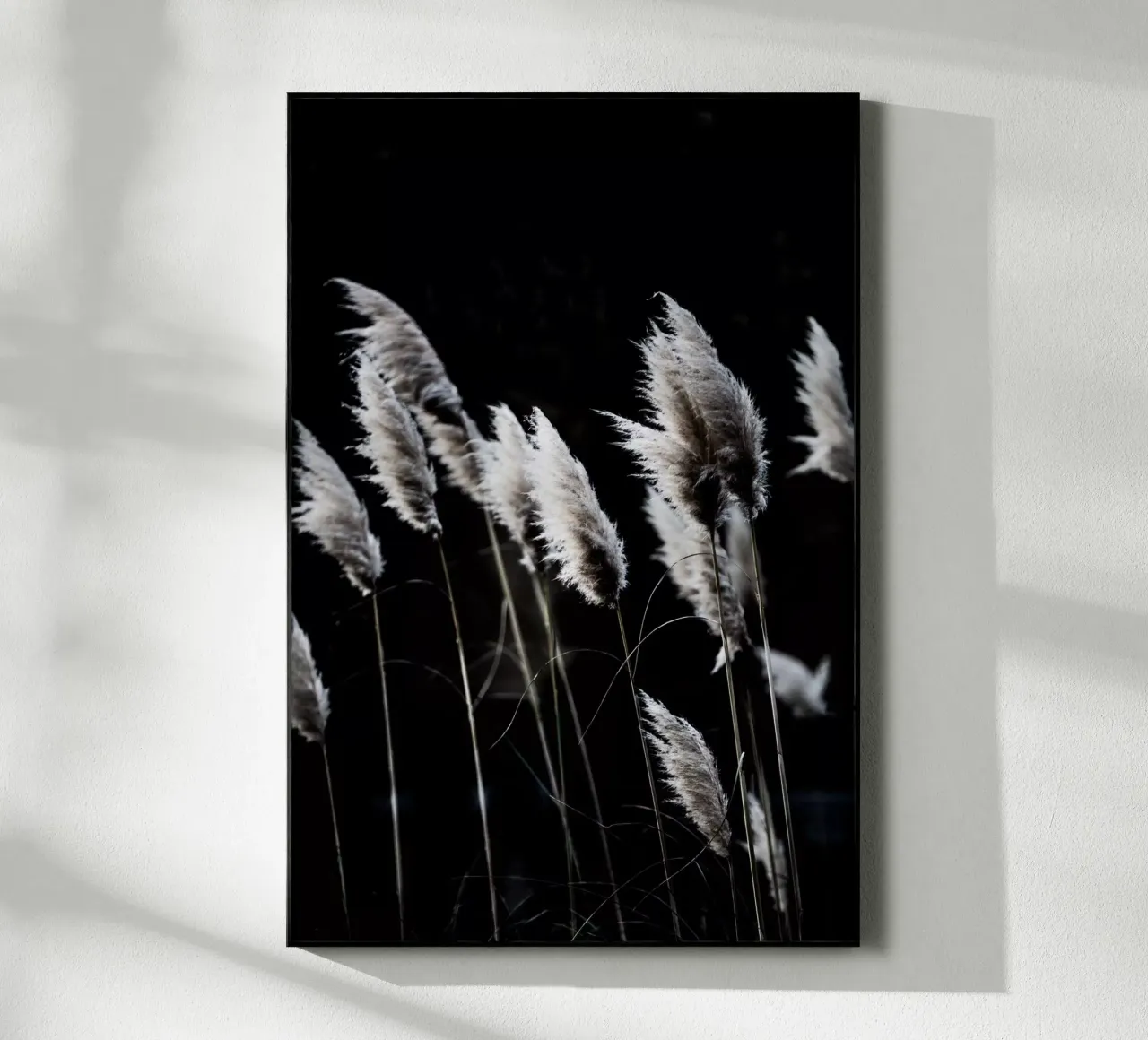 Grass 4 plexiglass da Mareike Böhmer Photography