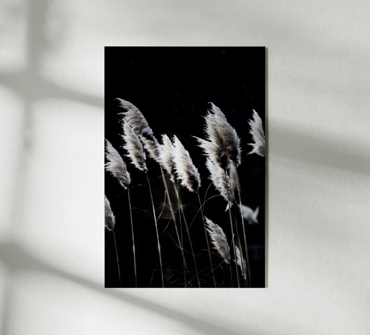 Grass 4 plexiglass da Mareike Böhmer Photography