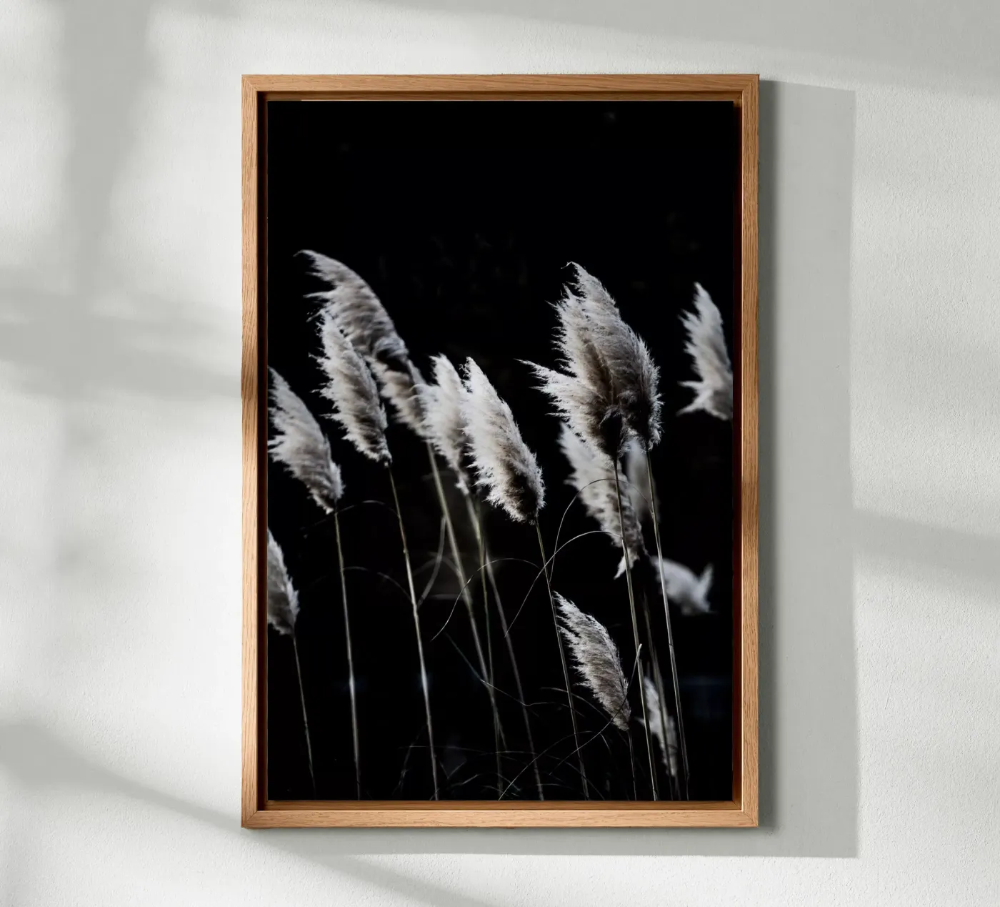 Grass 4 forex plate by Mareike Böhmer Photography