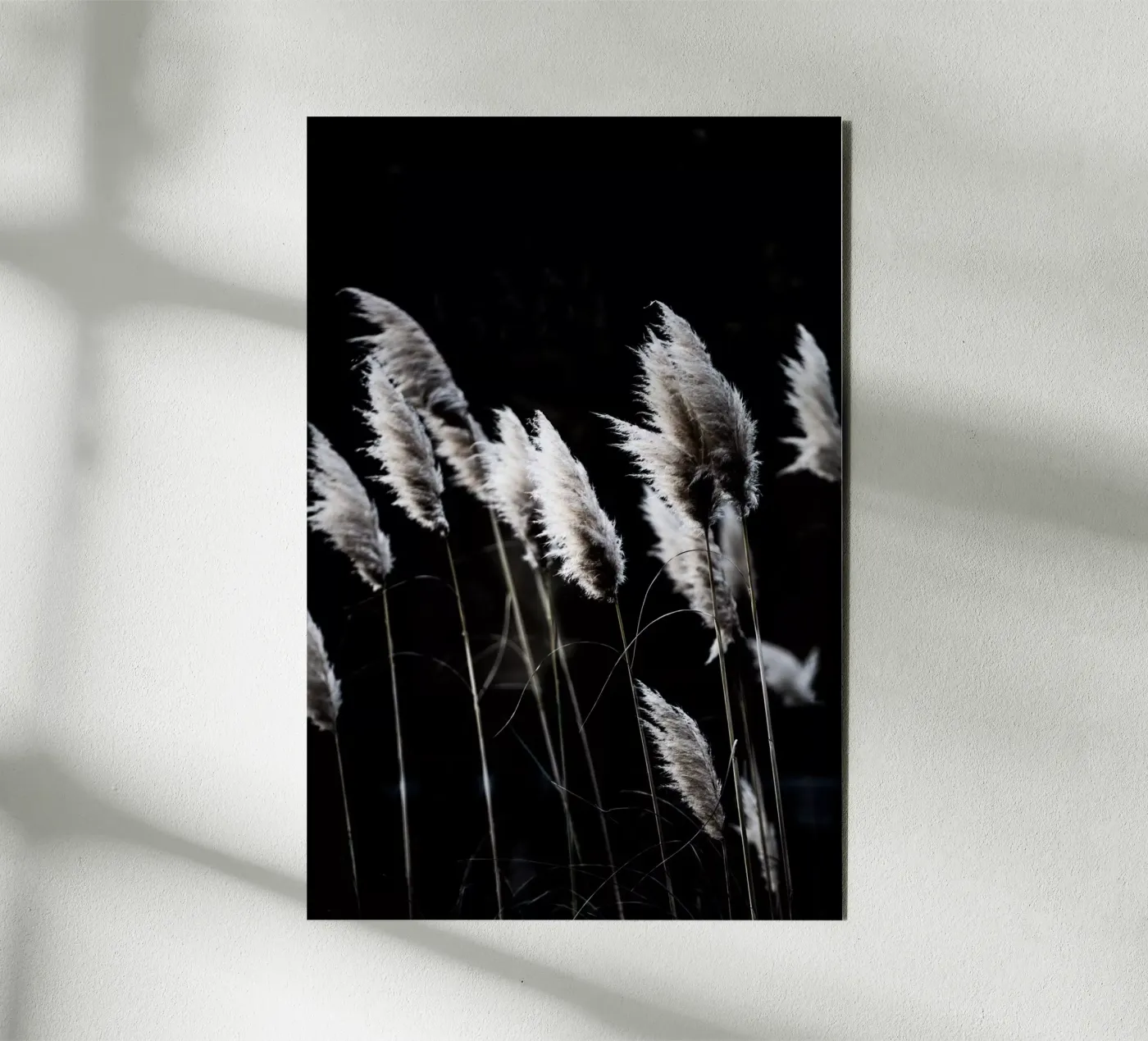 Grass 4 forex plate by Mareike Böhmer Photography
