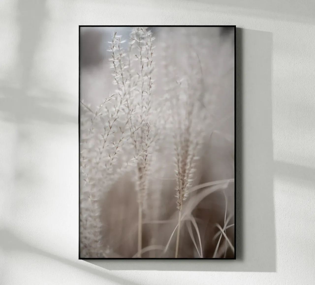 Grass 18 plexiglass da Mareike Böhmer Photography