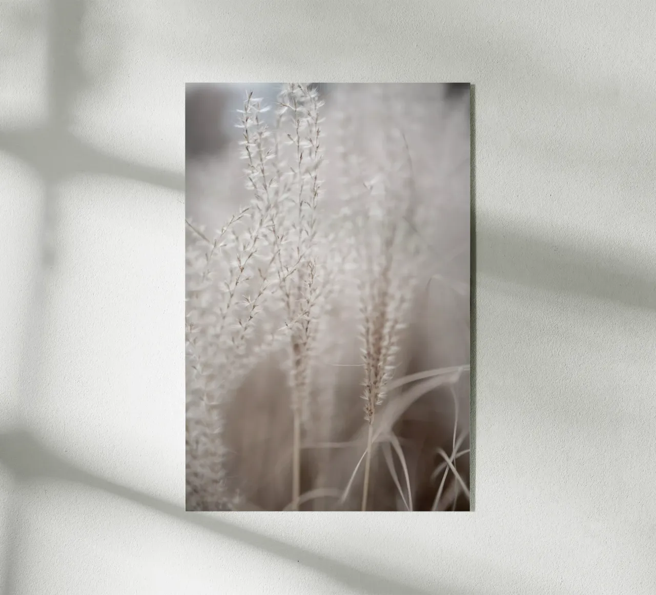 Grass 18 plexiglass da Mareike Böhmer Photography