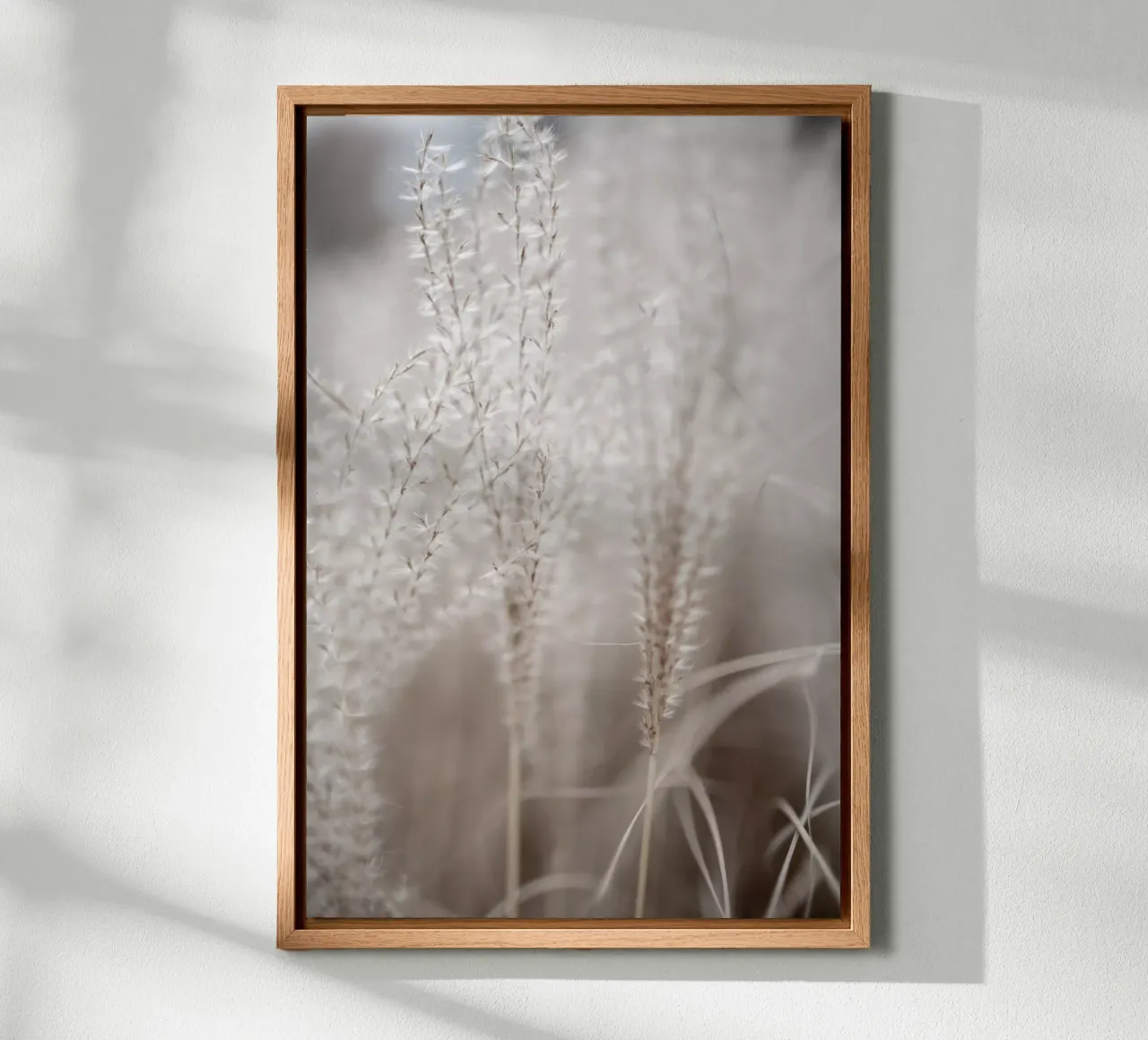 Grass 18 Leinwand von Mareike Böhmer Photography