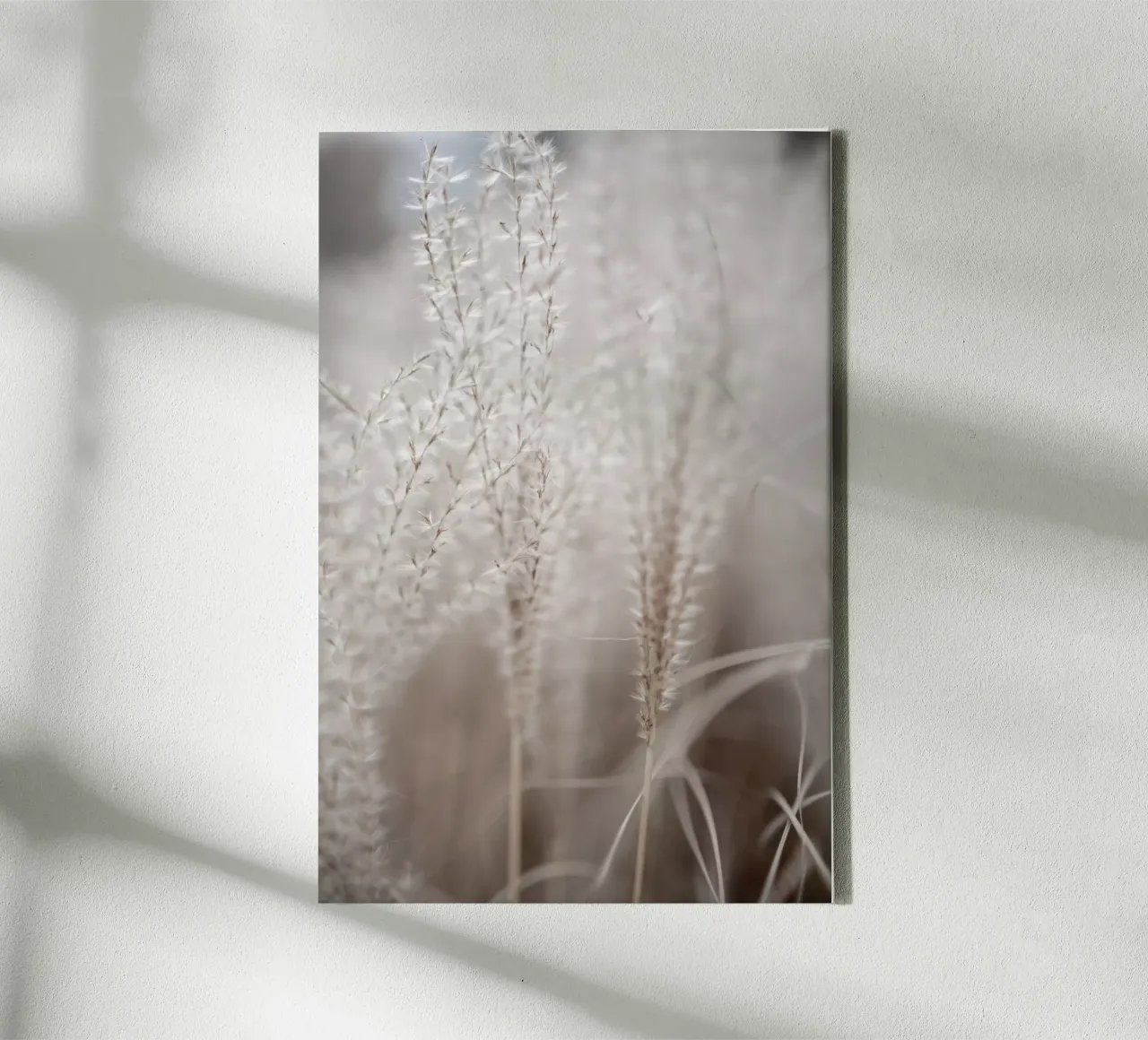 Grass 18 Leinwand von Mareike Böhmer Photography