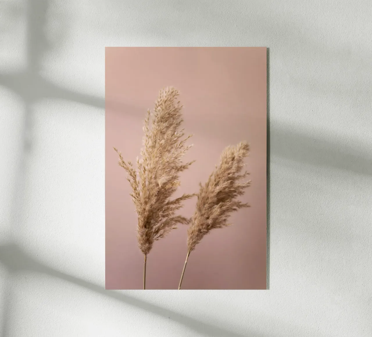 Grass 22 plexiglass da Mareike Böhmer Photography