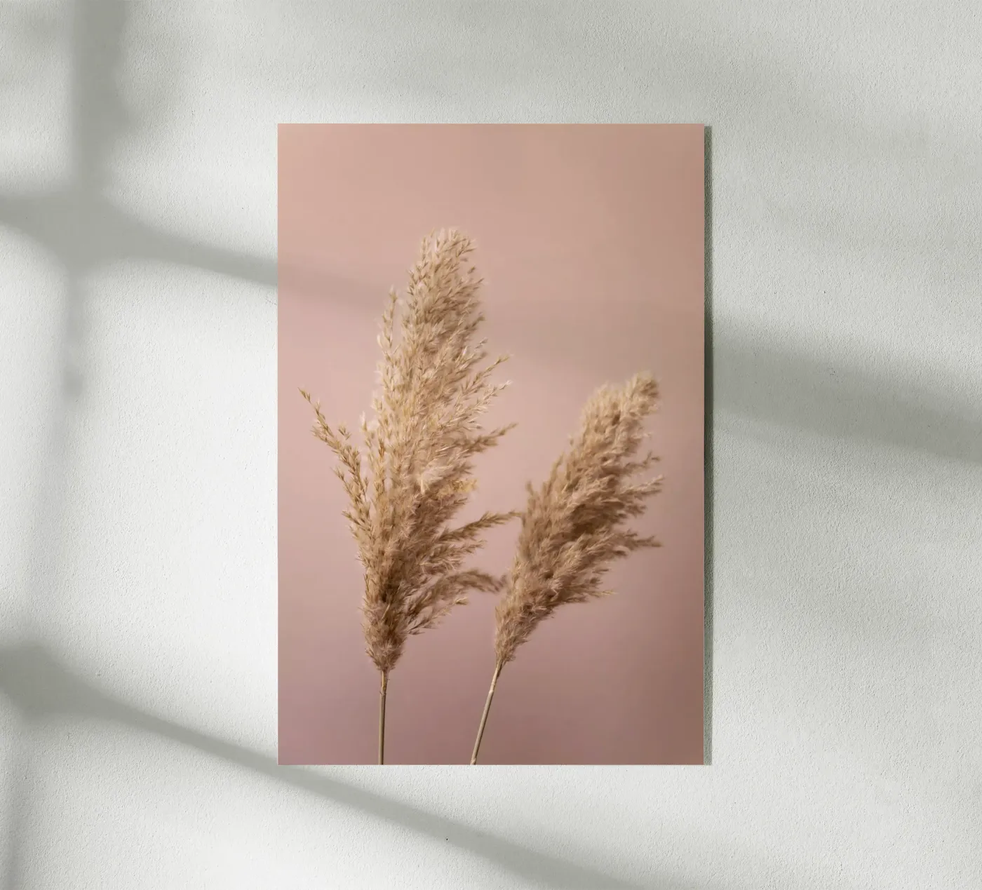 Grass 22 Acryl-Glas von Mareike Böhmer Photography