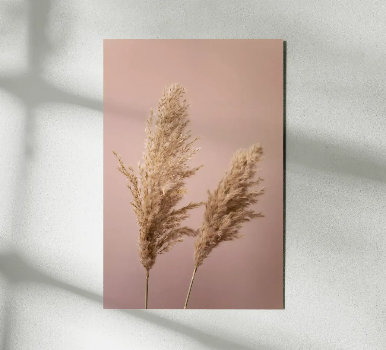 Grass 22 forex plate by Mareike Böhmer Photography